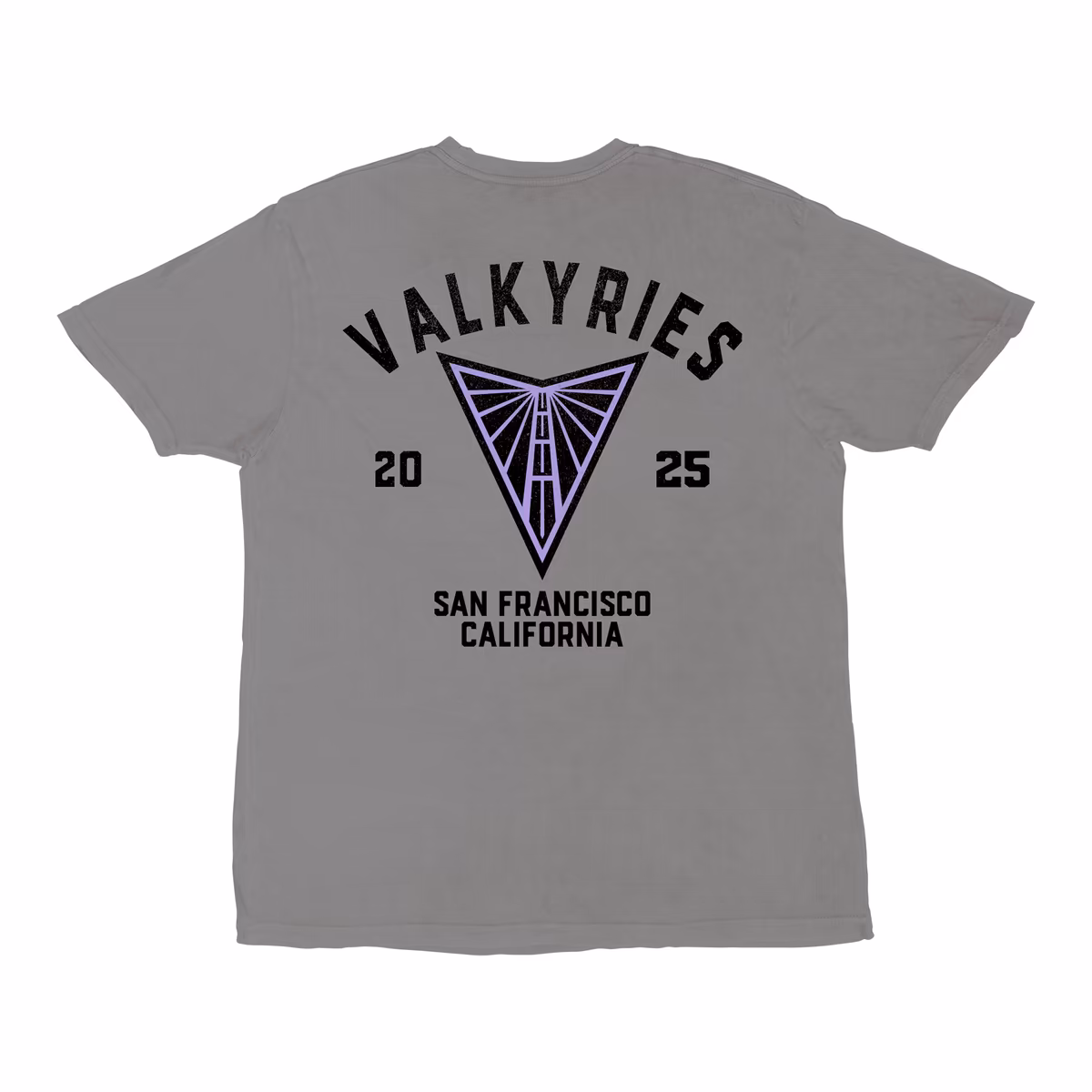 Unisex Stadium Essentials Purple Golden State Valkyries Oversized Vintage Wash T-Shirt