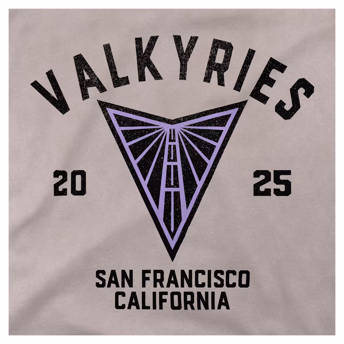 Unisex Stadium Essentials Purple Golden State Valkyries Oversized Vintage Wash T-Shirt
