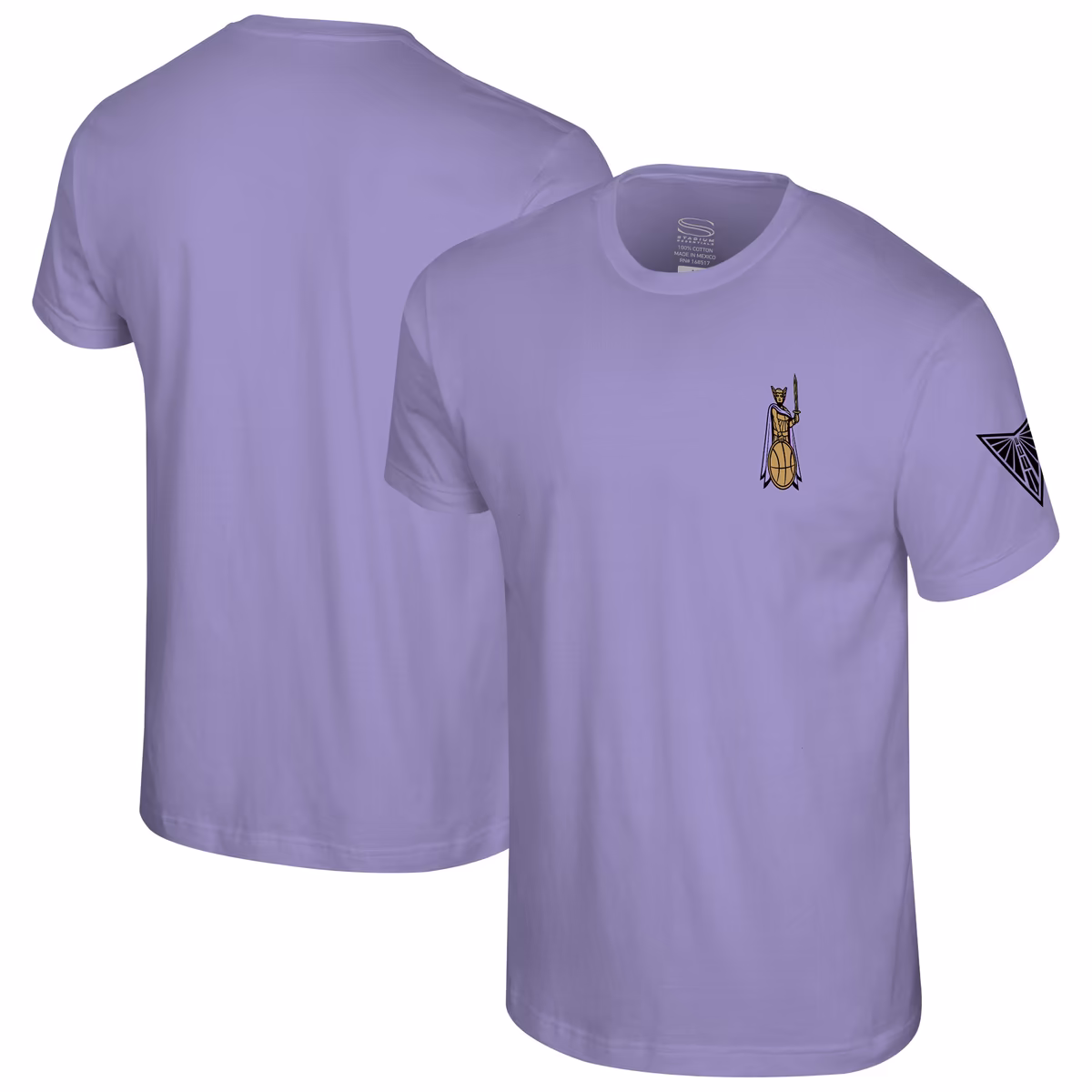 Unisex Stadium Essentials Violet Golden State Valkyries Origins Protect The Court T-Shirt 13 Unisex Stadium Essentials Violet Golden State Valkyries Origins Protect The Court T-Shirt